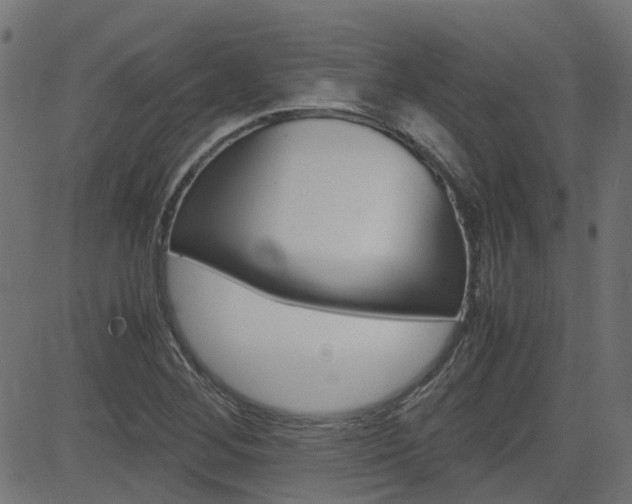 X0000082951268200702011039