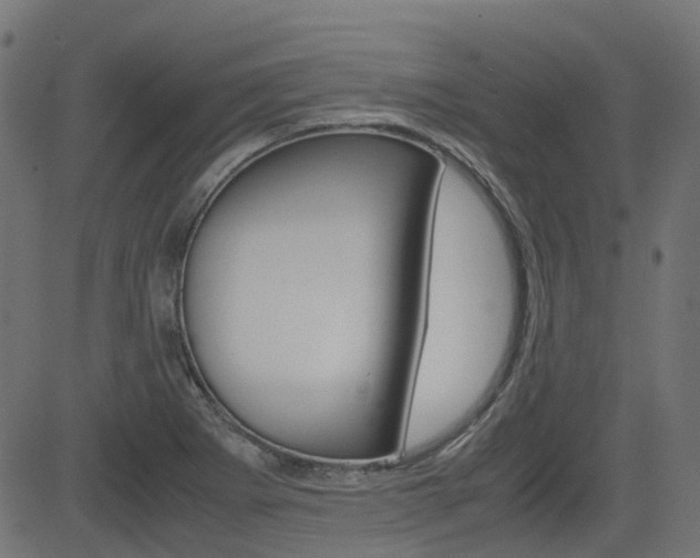 X0000082951273200702011039