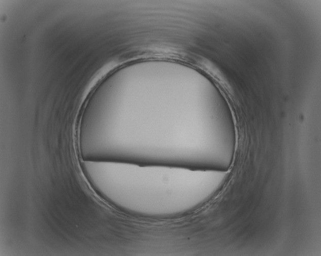 X0000082951283200702011038