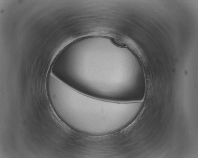 X0000082951284200702011038