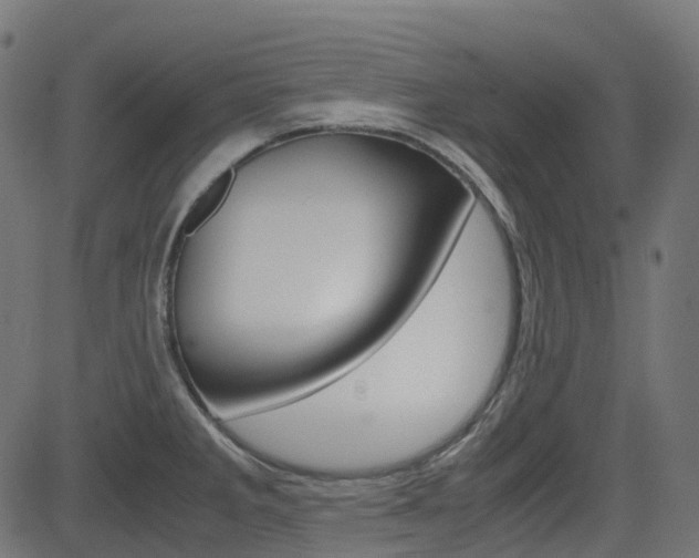 X0000082951285200702011038