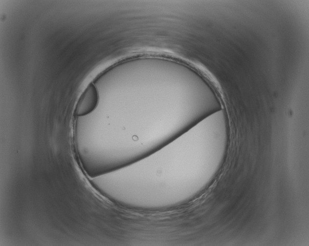 X0000082951287200702011038