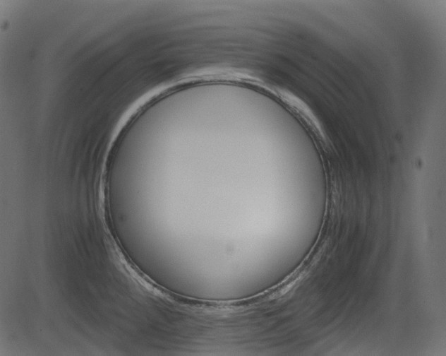 X0000082951288200702011038