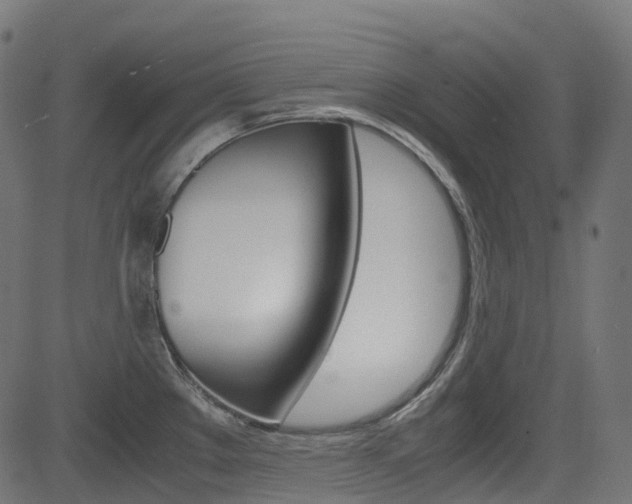 X0000082951289200702011038