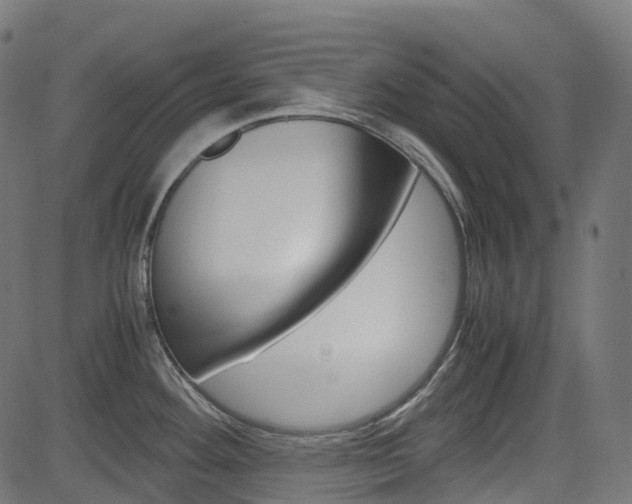 X0000082951292200702011038