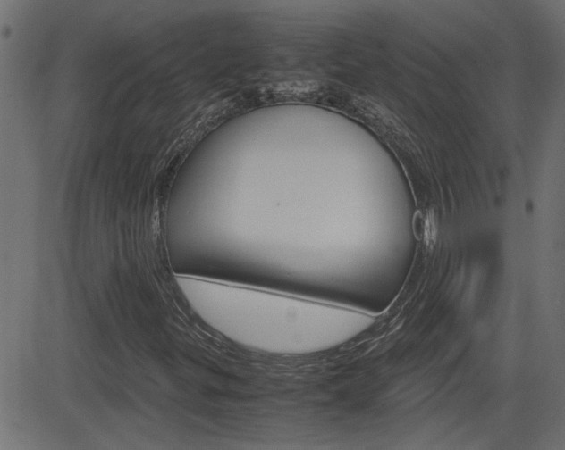 X0000082951299200702011037