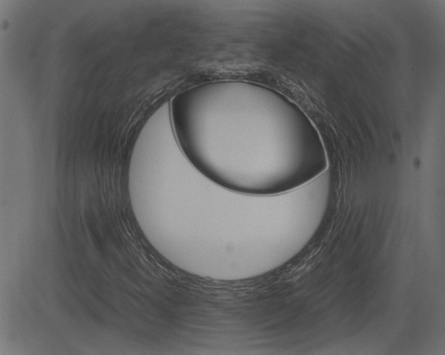 X0000082951300200702011038