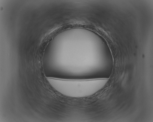 X0000082951303200702011038