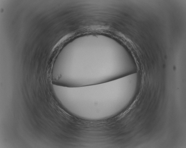 X0000082951306200702011038