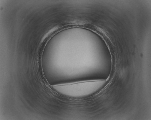 X0000082951307200702011038