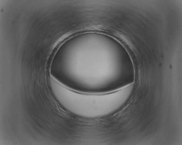 X0000082951308200702011038