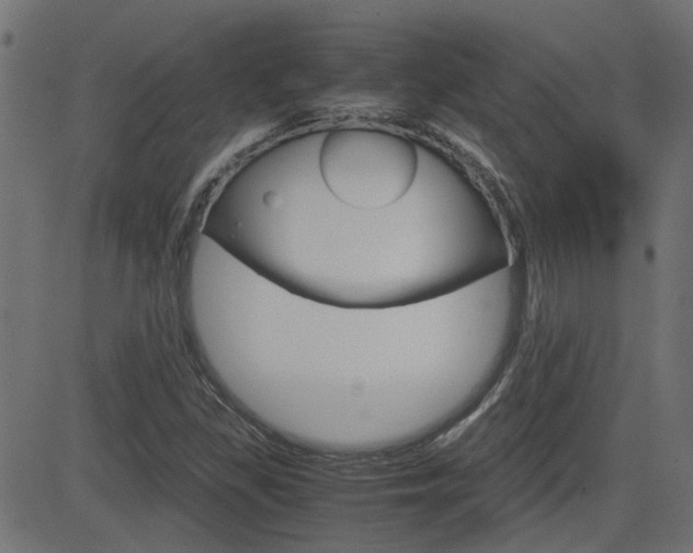 X0000082951309200702011038