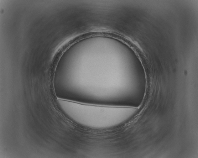 X0000082951311200702011038
