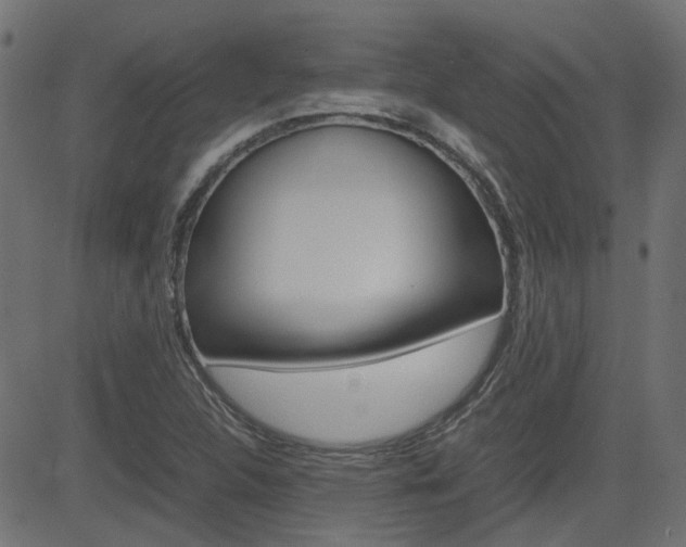 X0000082951312200702011038