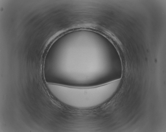 X0000082951316200702011038