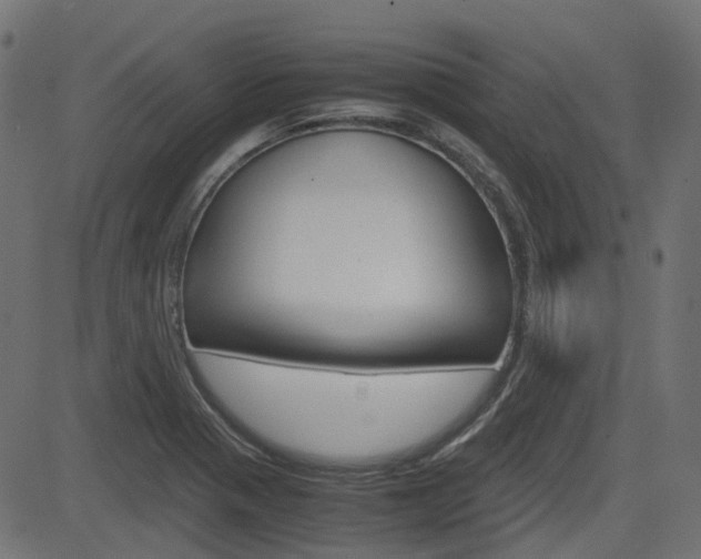 X0000082951321200702011038