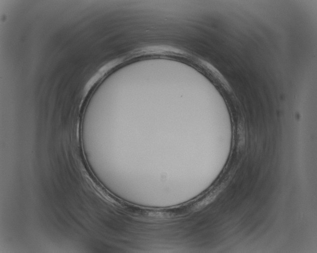 X0000082951322200702011038
