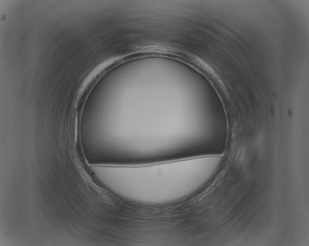 X0000082951323200702011038