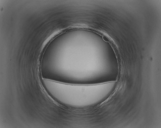 X0000082951325200702011038