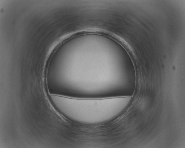 X0000082951327200702011038
