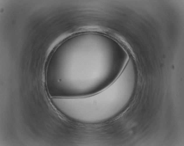 X0000082951328200702011038