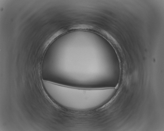 X0000082951329200702011038