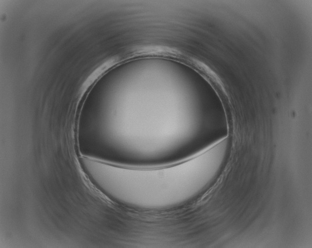 X0000082951330200702011038