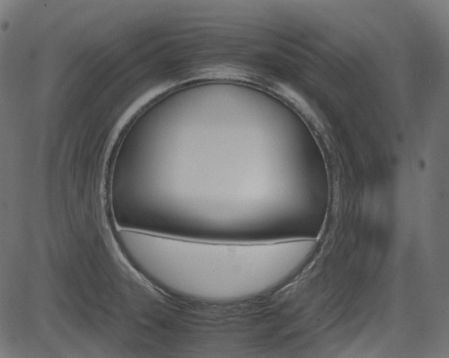 X0000082951331200702011038