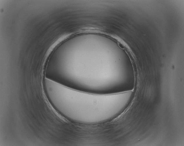 X0000082951333200702011038