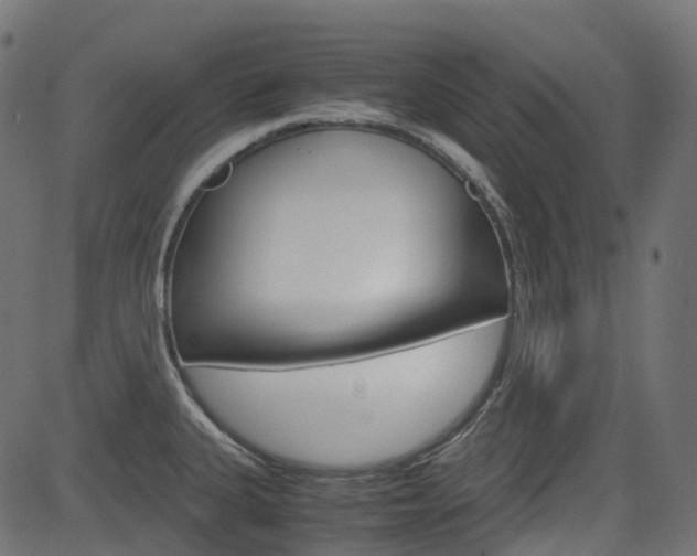 X0000082951335200702011038