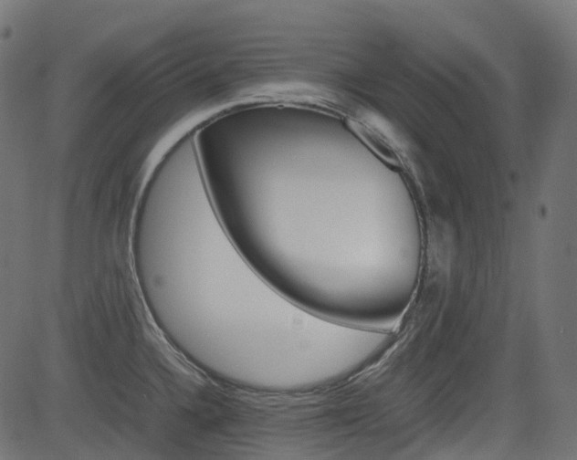 X0000082951336200702011038
