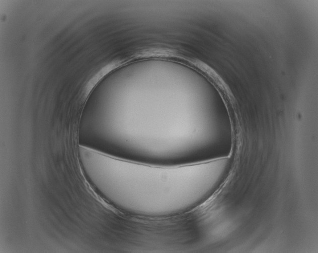 X0000082951337200702011038
