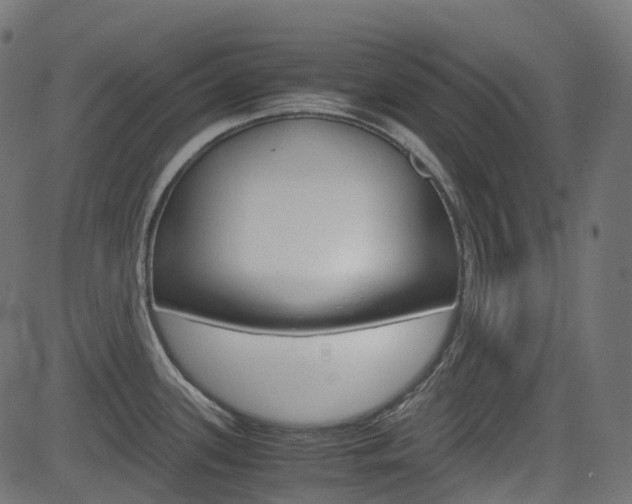 X0000082951339200702011038