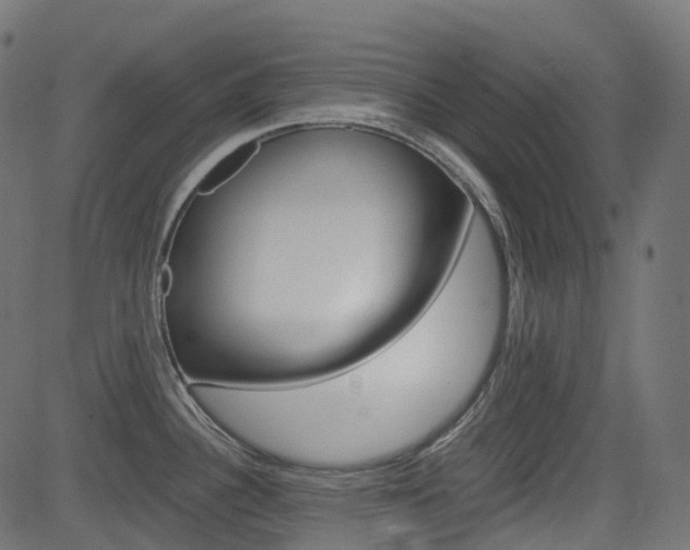 X0000082951340200702011038
