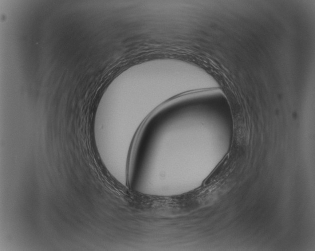 X0000082951345200702011037