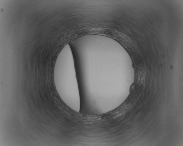 X0000082951346200702011037