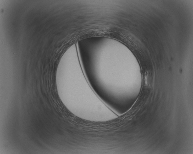 X0000082951347200702011037