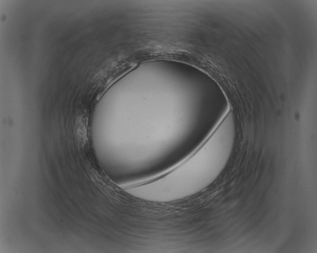 X0000082951348200702011037