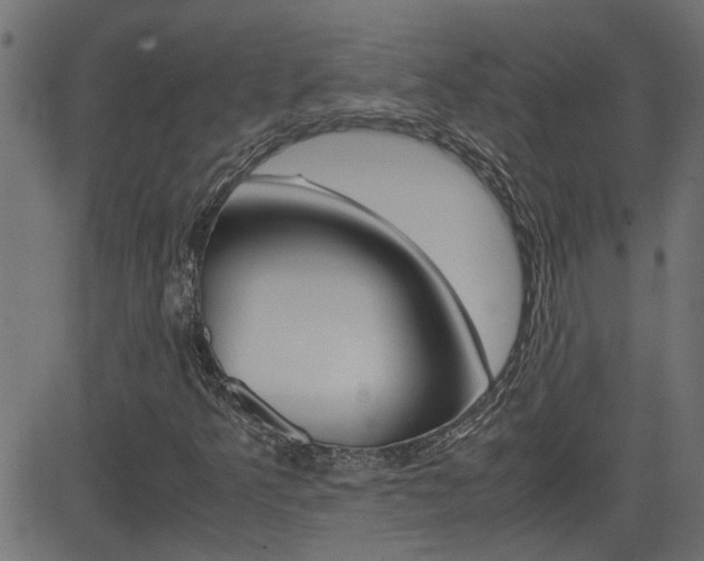 X0000082951349200702011037