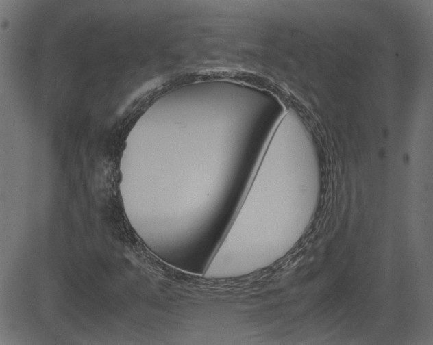 X0000082951351200702011037