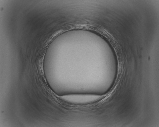 X0000082951353200702011037