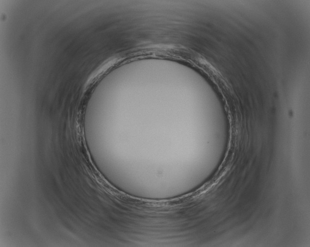 X0000082951354200702011037