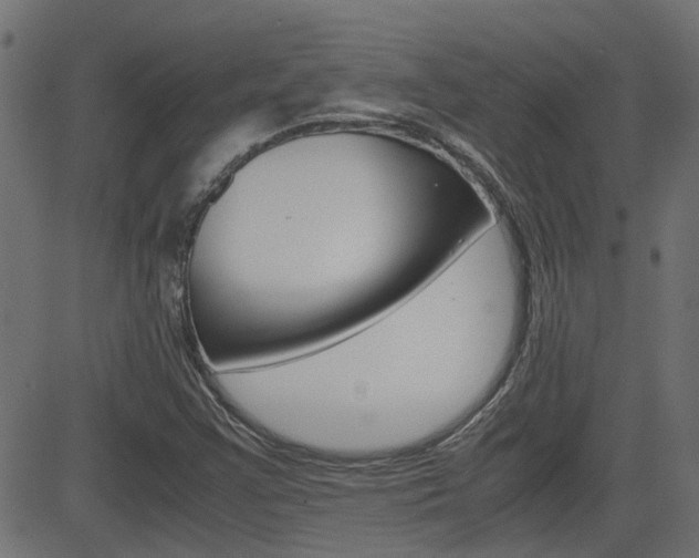 X0000082951355200702011037