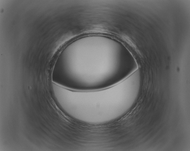 X0000082951356200702011037