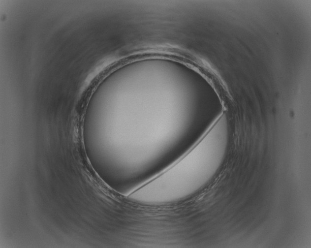 X0000082951360200702011037