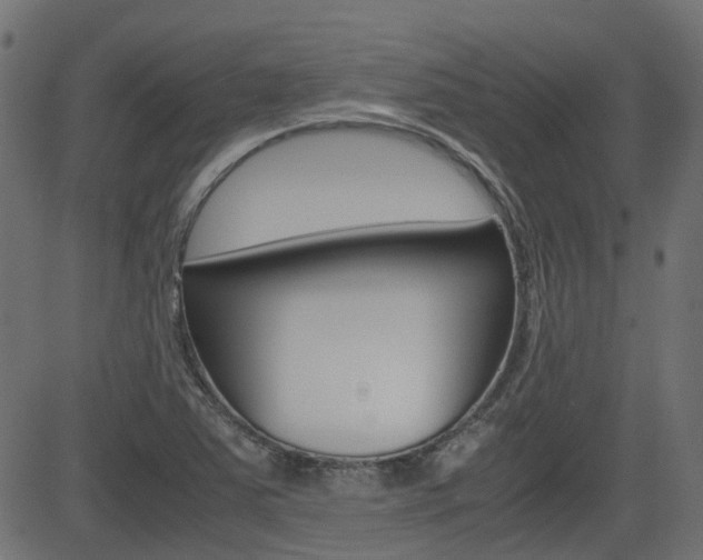 X0000082951363200702011037