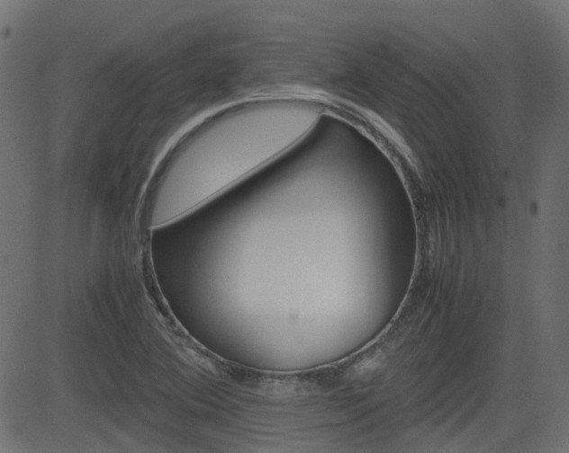 X0000082951364200702011037