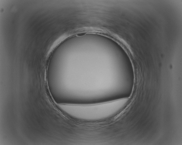 X0000082951365200702011037