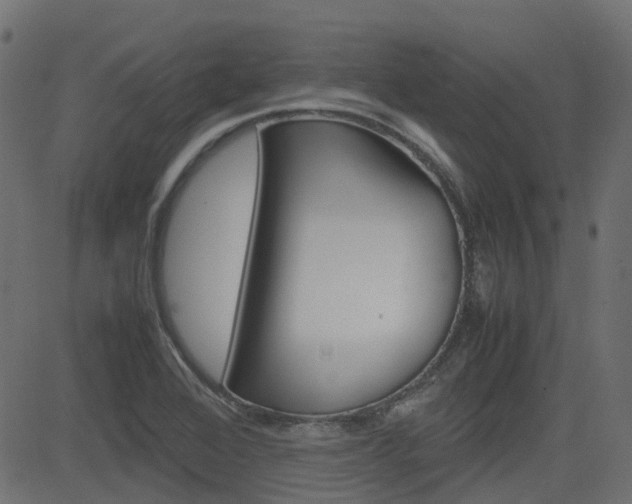 X0000082951368200702011037
