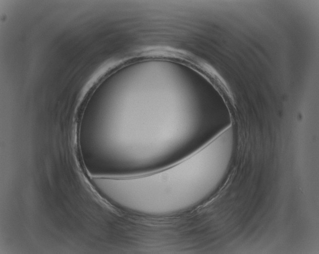 X0000082951376200702011037